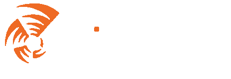 Think Fast Informática